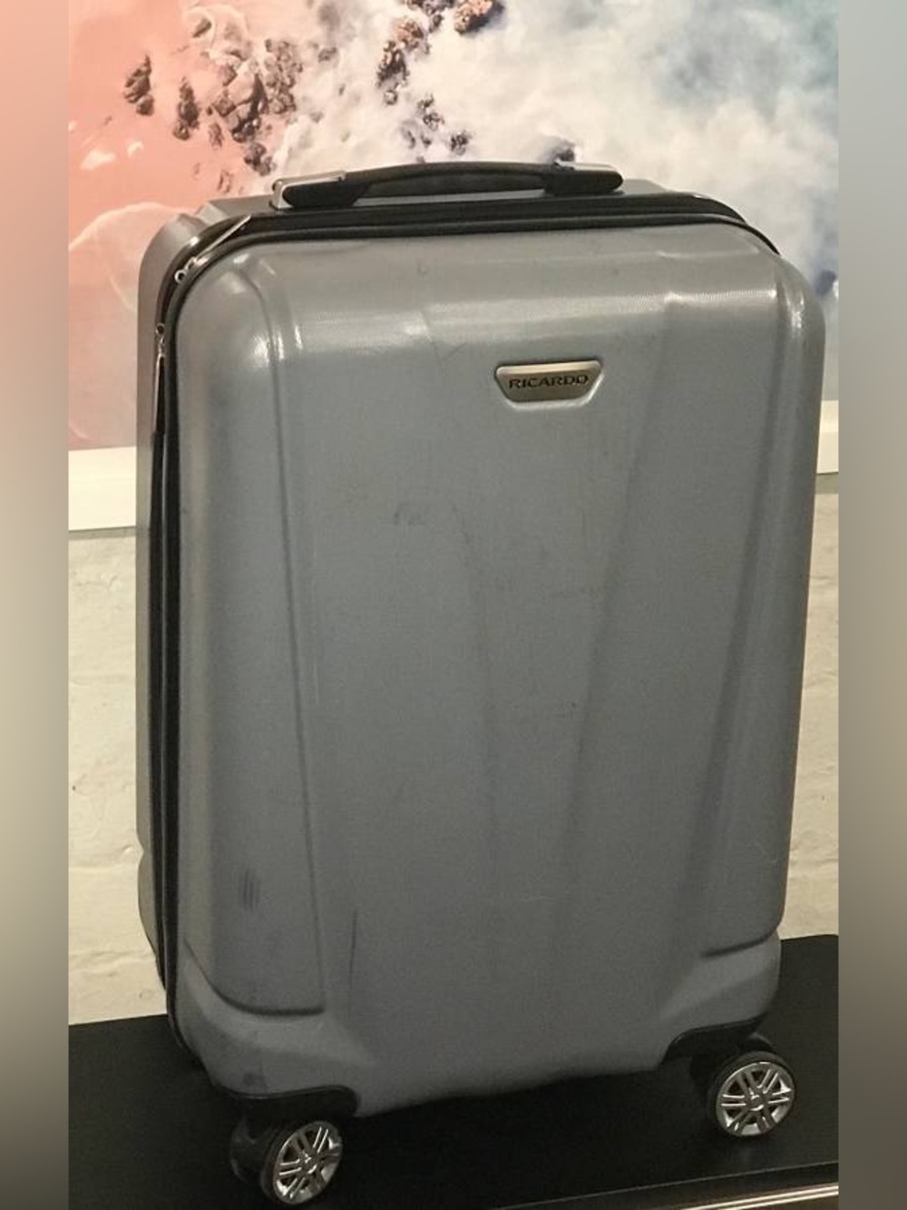 Ricardo Grey Hardshell Spinner Carry-On Suitcase